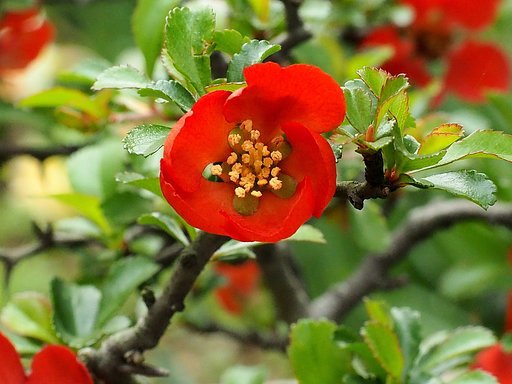 4月24日の写真