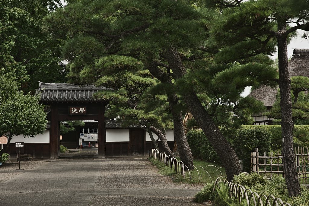 校學