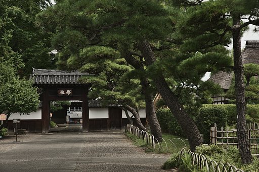 校學
