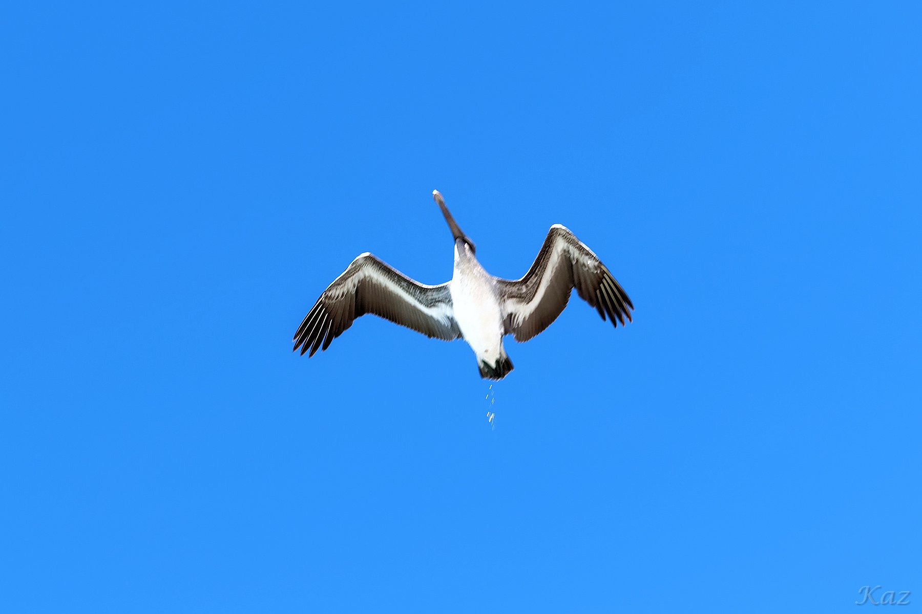 Bombing Run