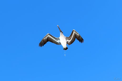 Bombing Run