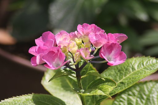 Tamron  200-400mm-F5.6+EF25