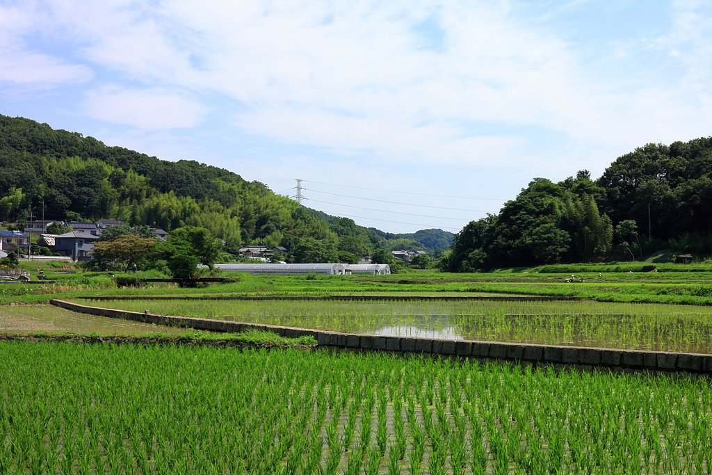 お疲れ様です