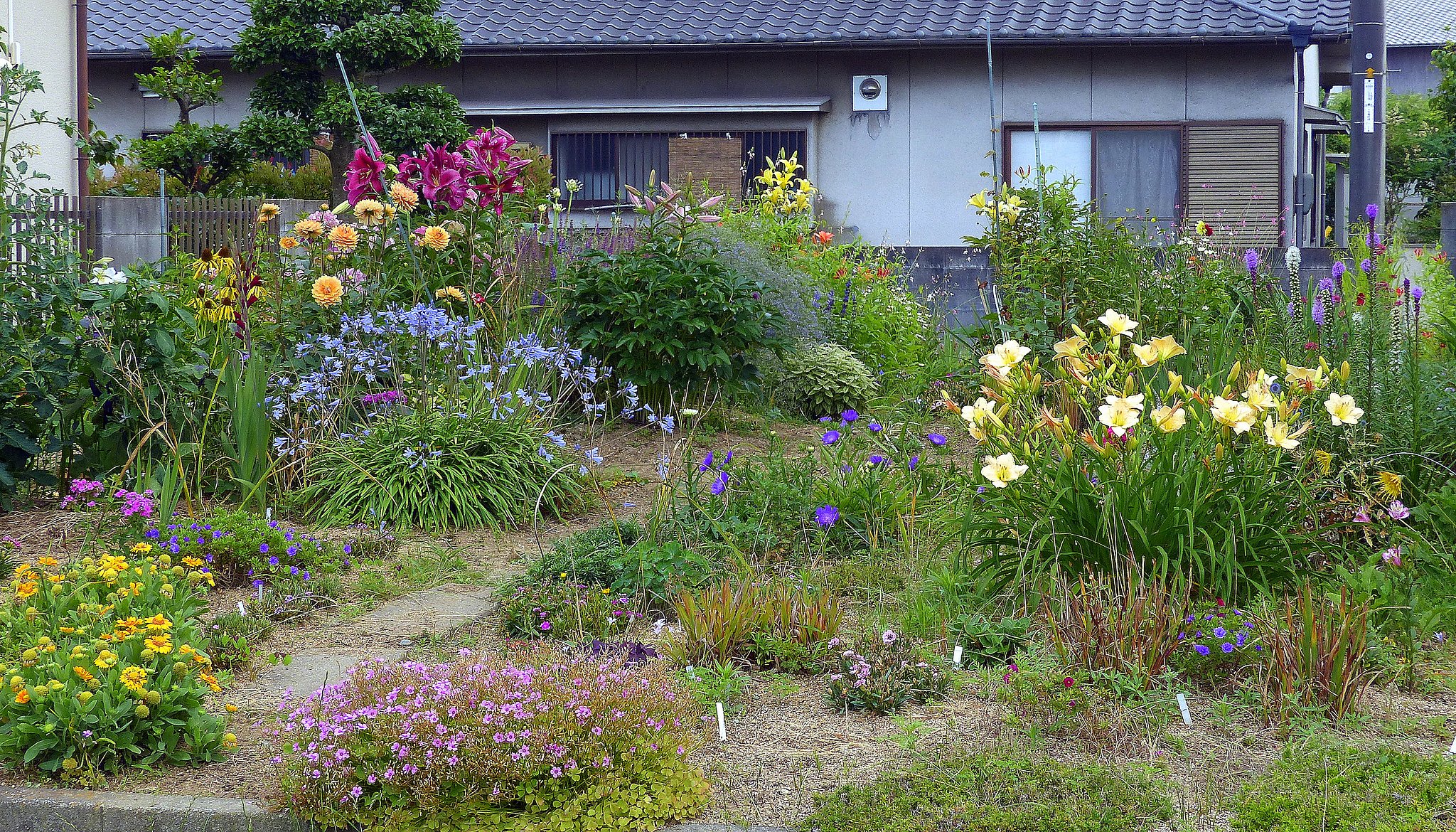 小さな花畑の紹介