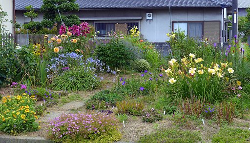 小さな花畑の紹介