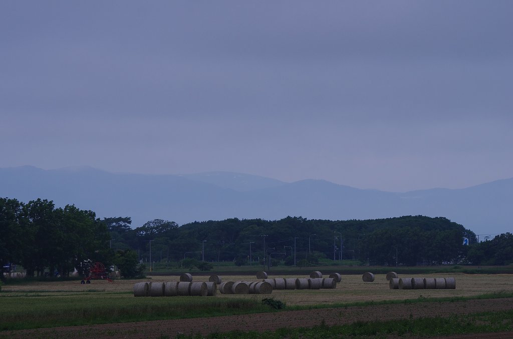早朝の牧場