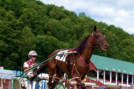 Chariot Rider