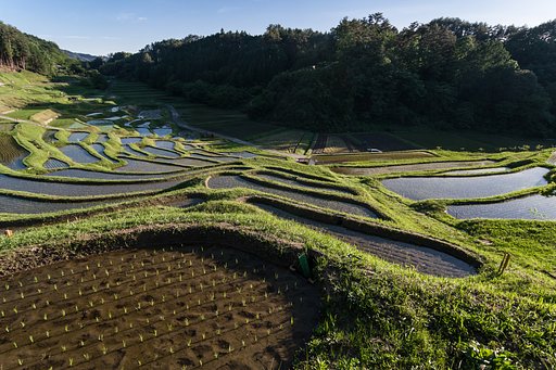 よこね棚田全景