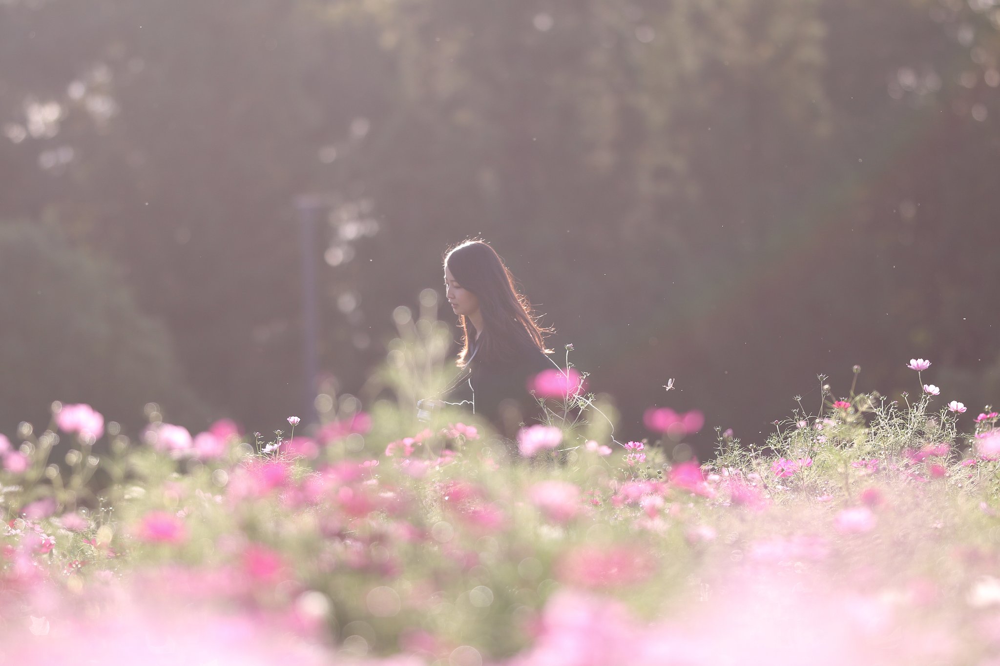 さわやか美人百景・虹の美少女