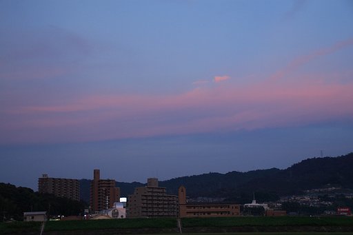 地球影？ヴィーナス・ベルト？
