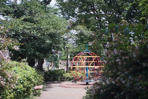夏の公園