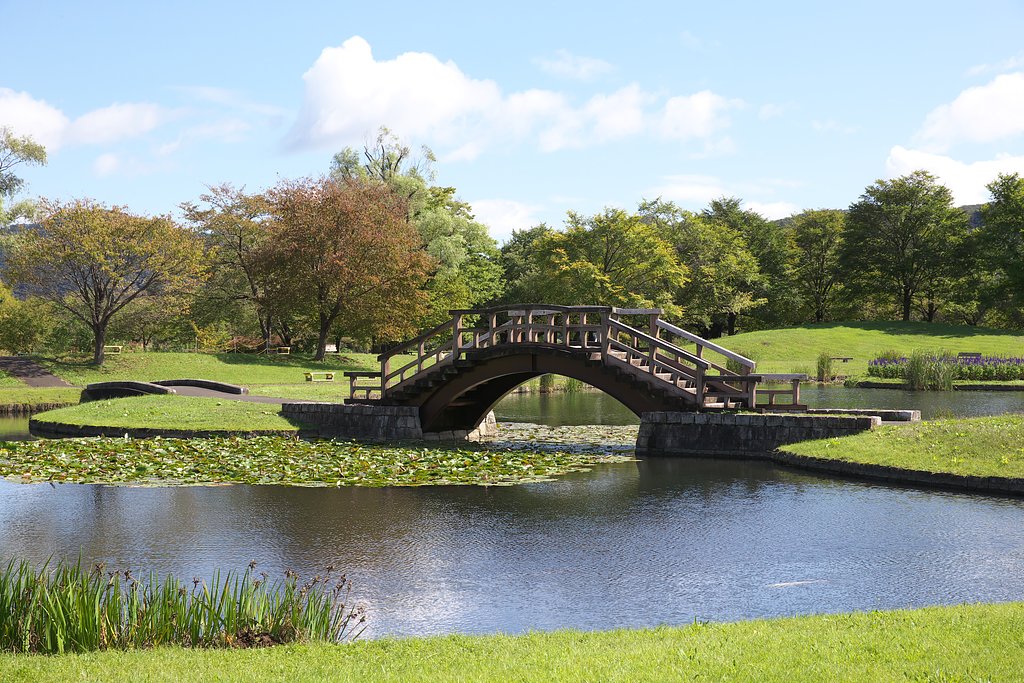 朝の公園と太鼓橋