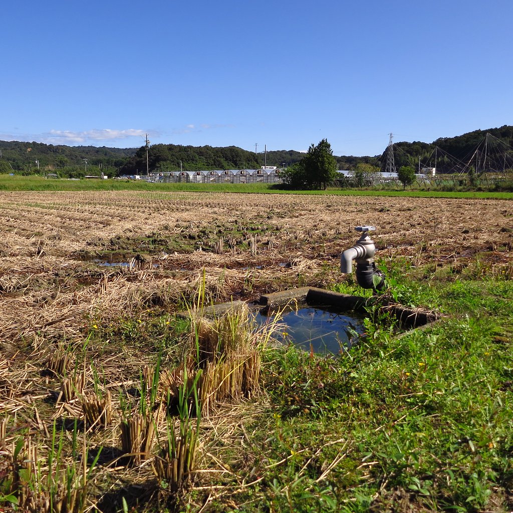 田園・切り株・蛇口