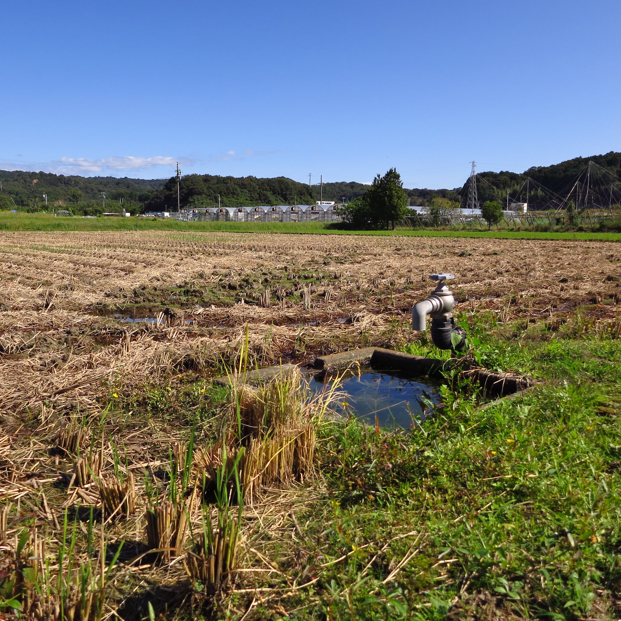 田園・切り株・蛇口