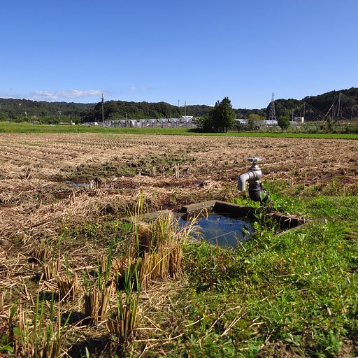田園・切り株・蛇口