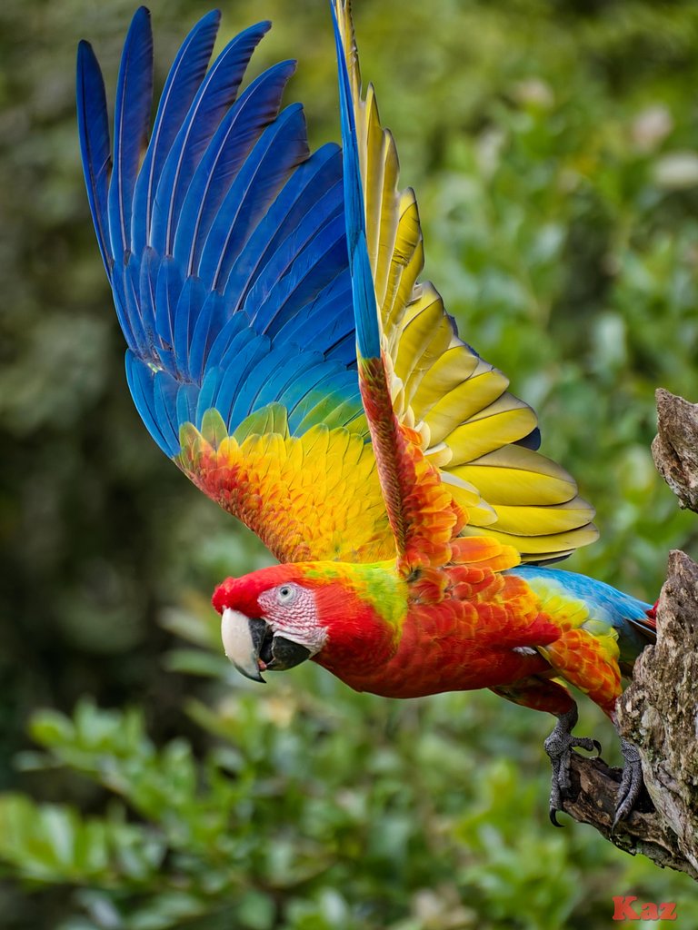 Costa Rica 25