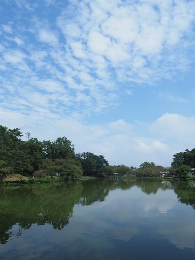 久々の青空