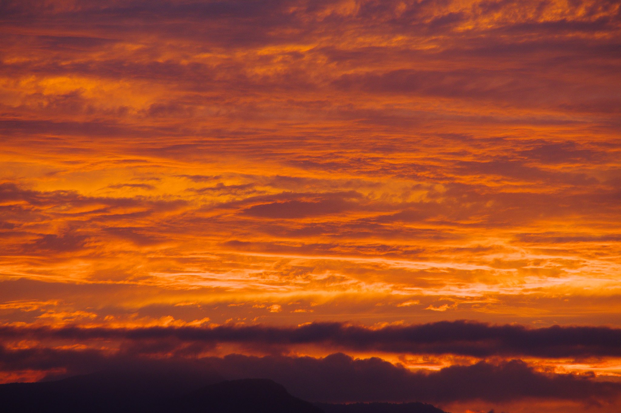 夕焼け
