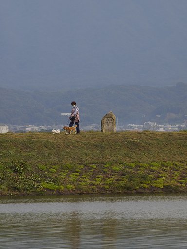 2月5日の写真