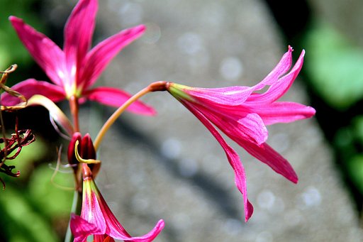 10月7日の写真