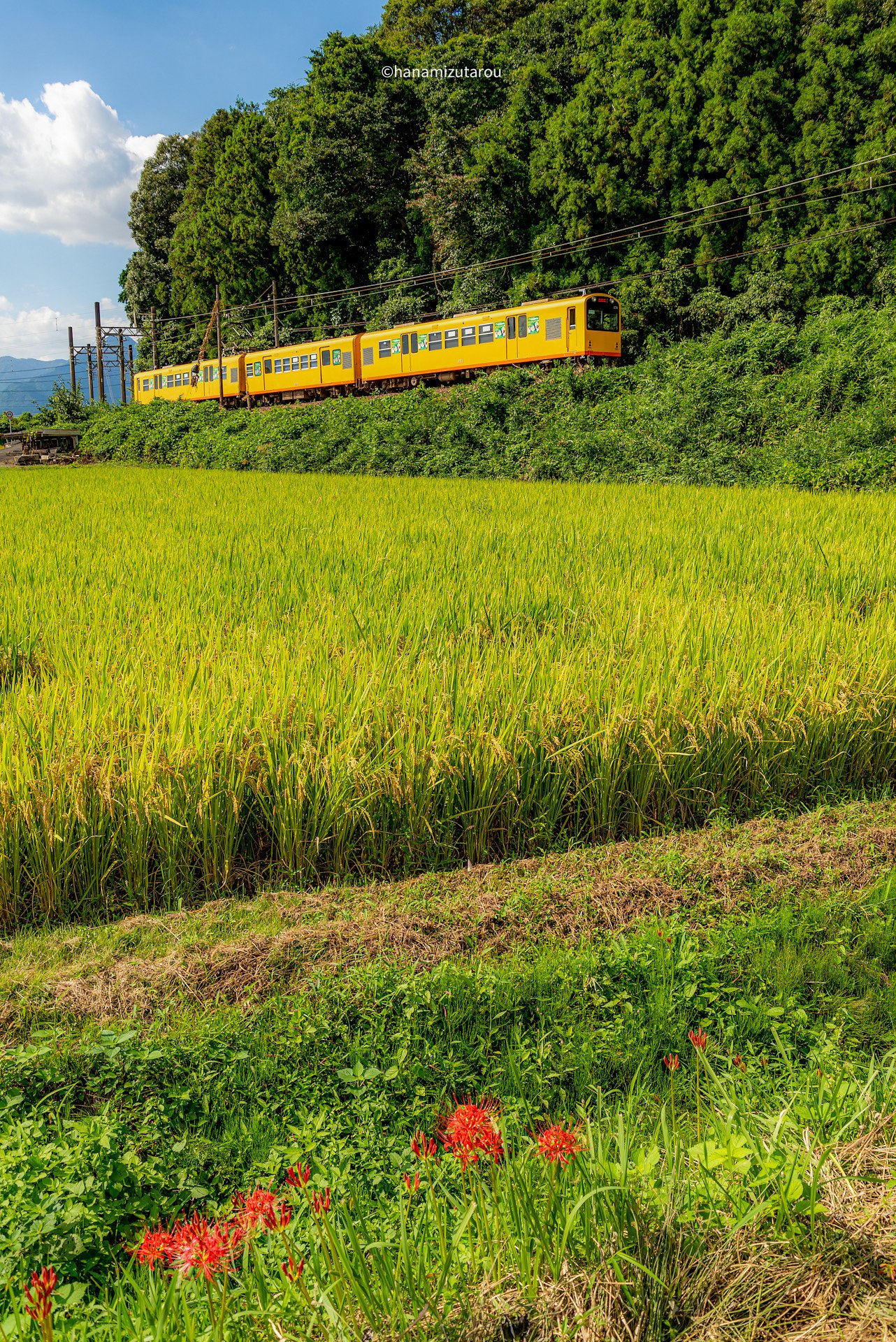 【情景】秋の北勢線