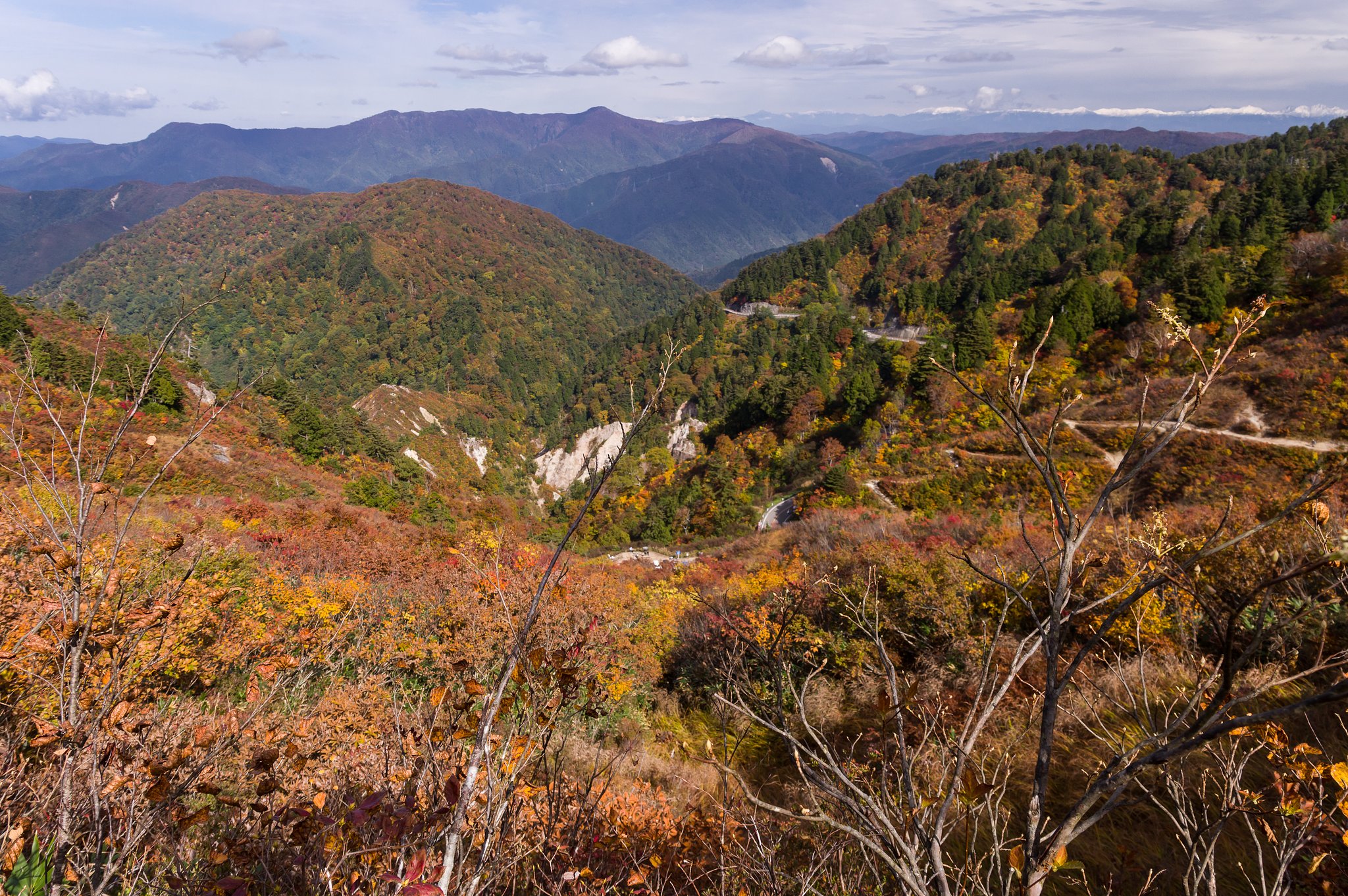 登山道よりアルプス遠望