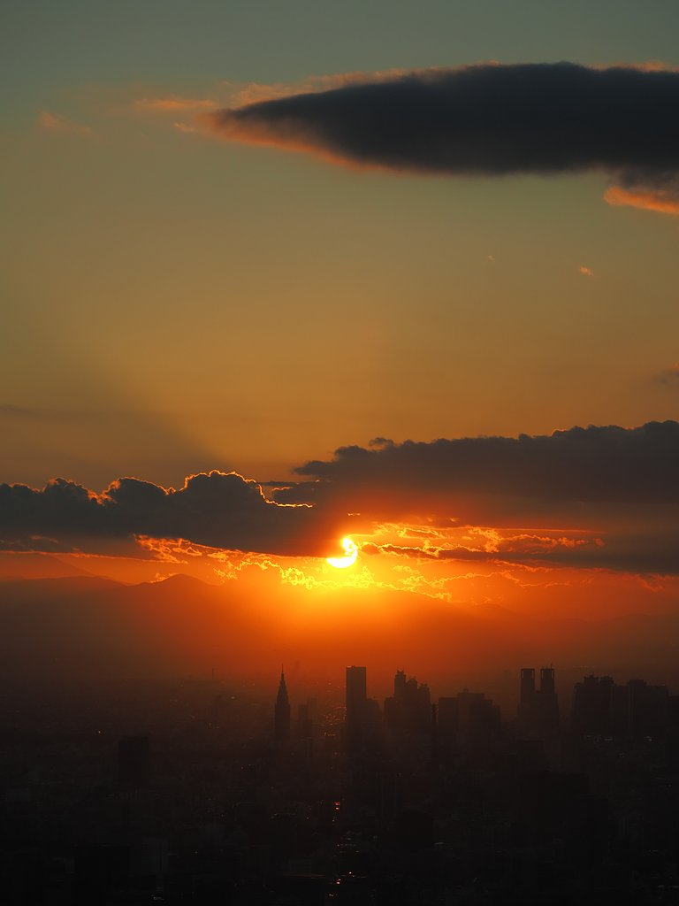 落日のTokyo2