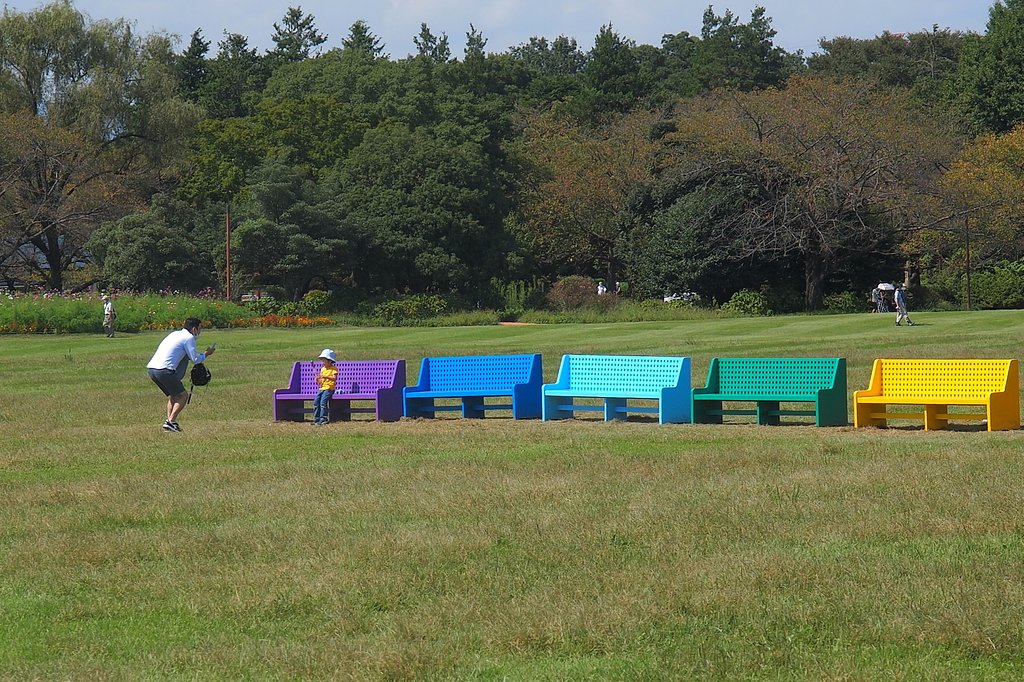 やっぱり隅っこが好き(彩り公園にて)