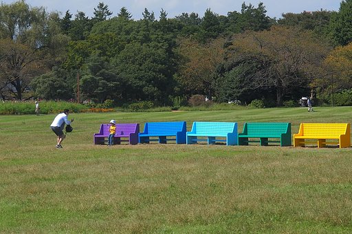 やっぱり隅っこが好き(彩り公園にて)