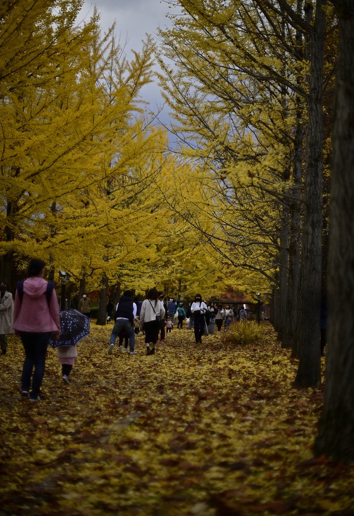総合運動公園　2