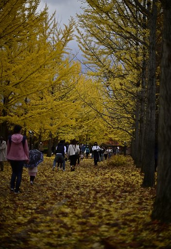 総合運動公園　2