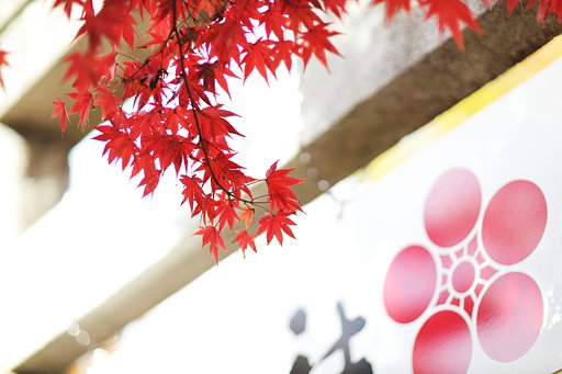 天神様の紅葉