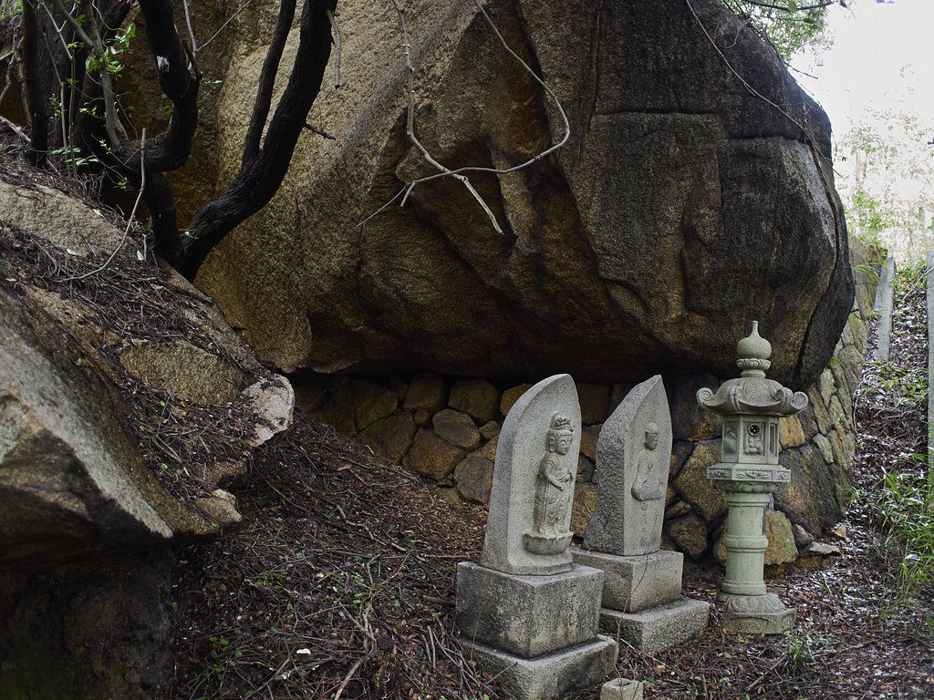 カメラと歩行