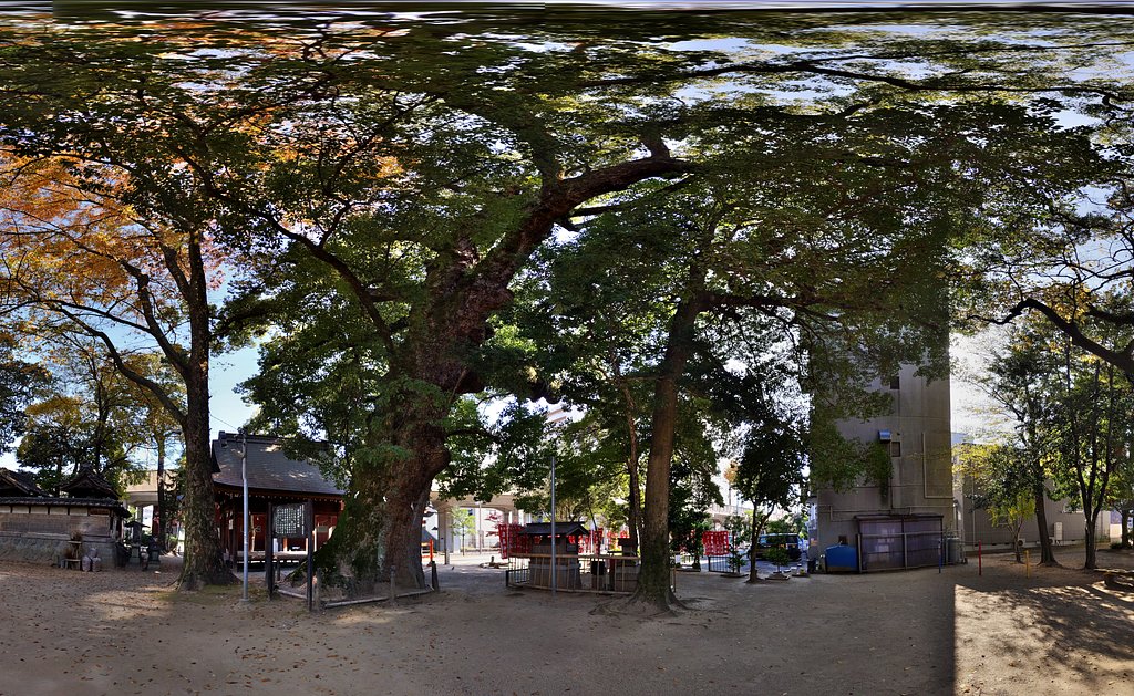 Panorama