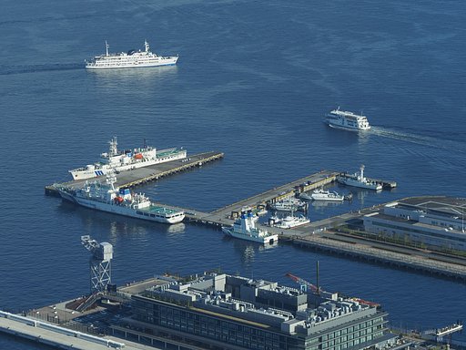動と静