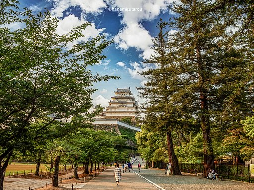 5月21日の写真