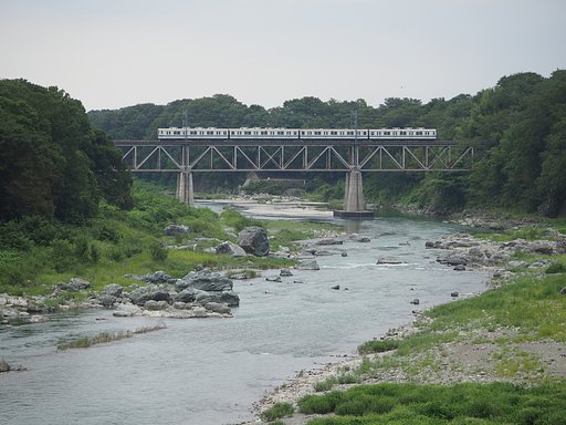 夏の川辺
