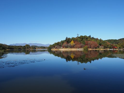 南湖の秋