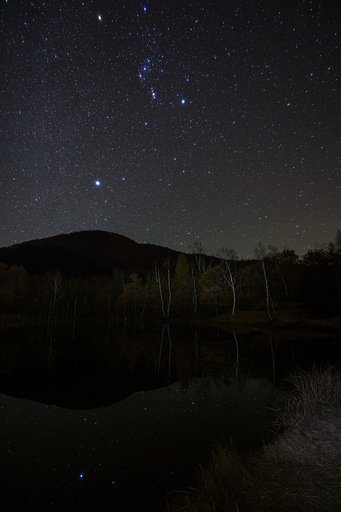 まいめの池の上にオリオン
