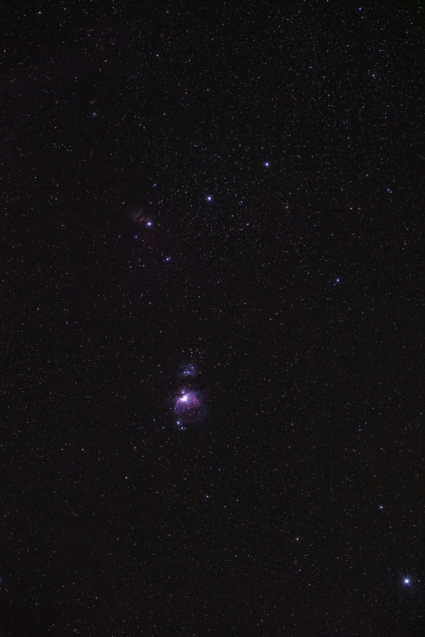 M42