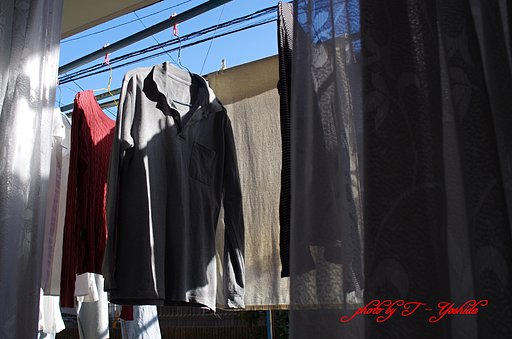 1月28日の写真
