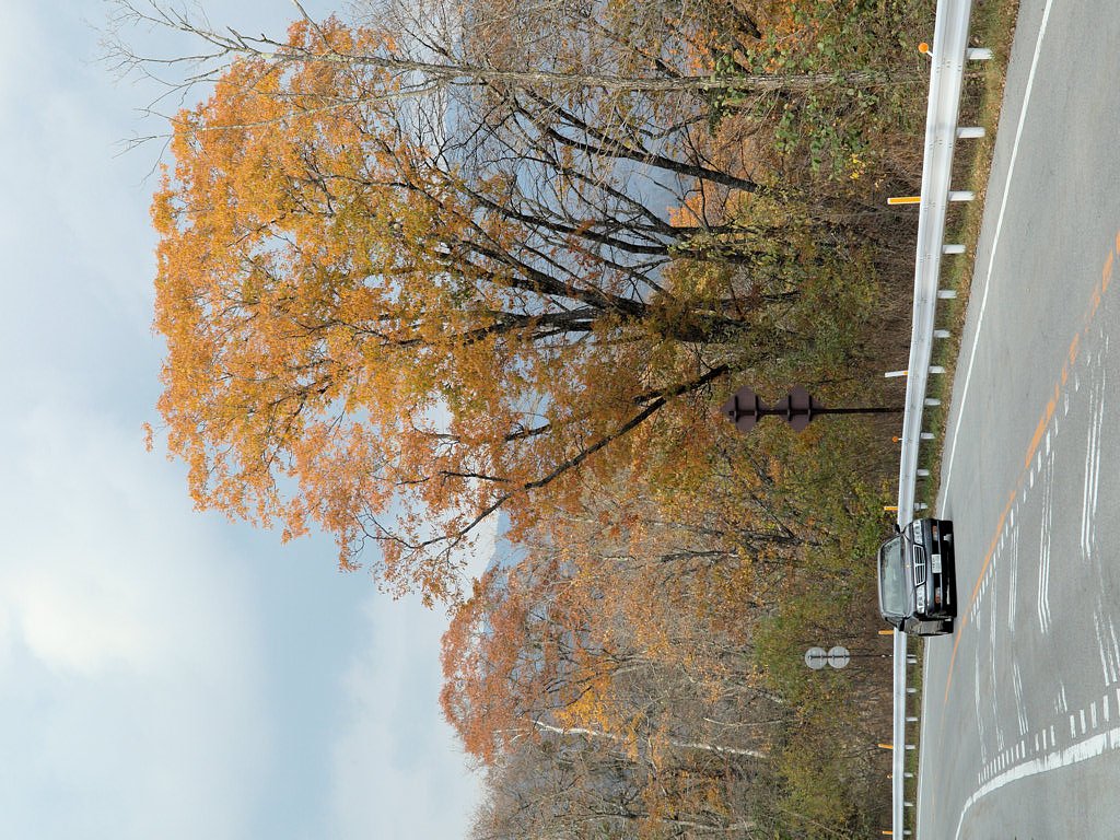 紅葉の大菩薩ライン、その２