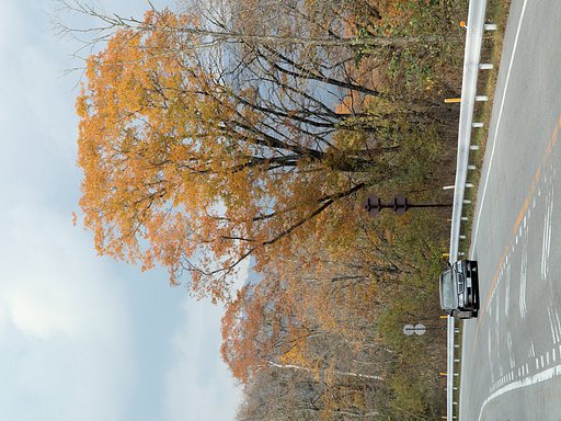 紅葉の大菩薩ライン、その２