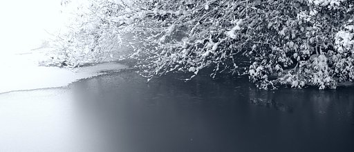 雪