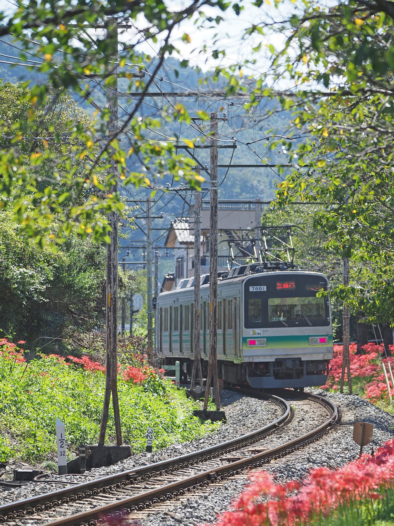 秋の鉄路(みち)を行く