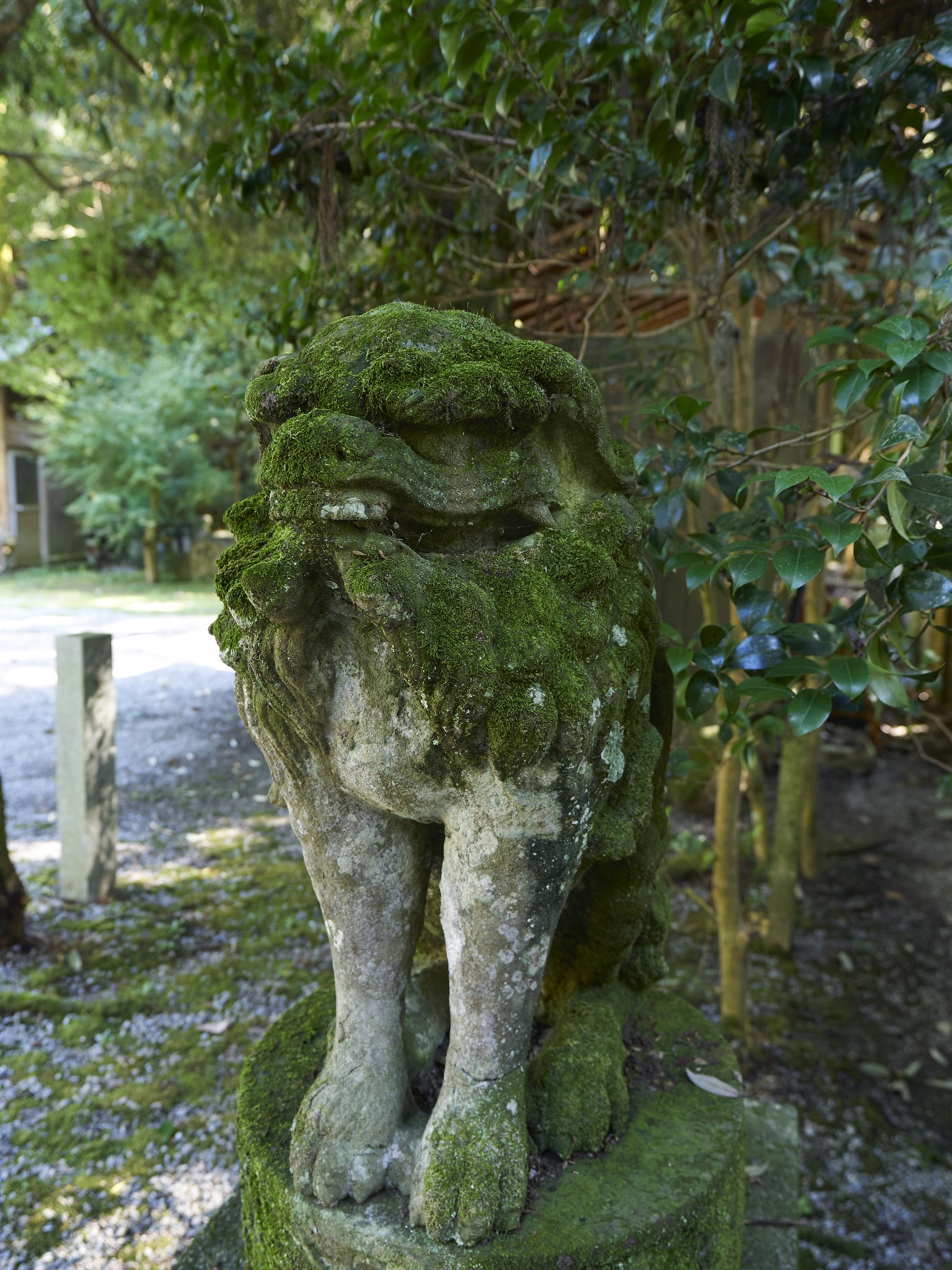 森の神社