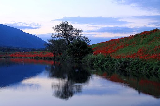 津屋川にて　Ⅱ