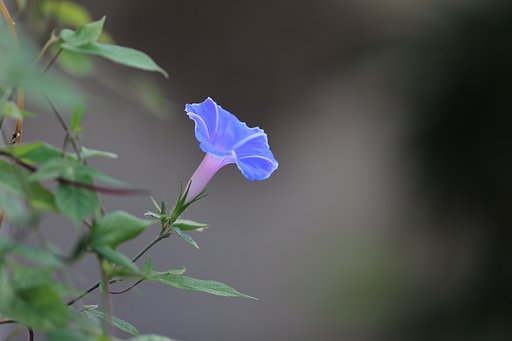 9月10日の写真
