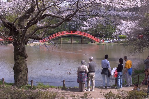 金沢文庫・称名寺