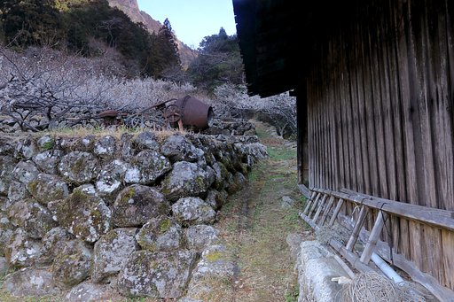 石垣のある風景